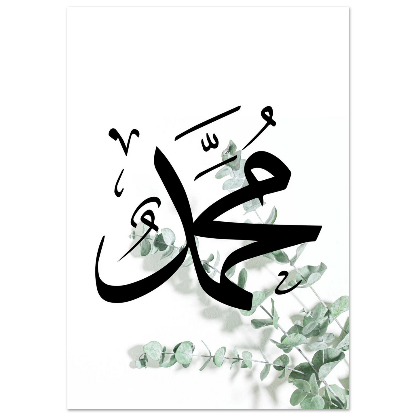 5cc98e37-3e4a-43ef-8ffa-f2da2d0ab16b